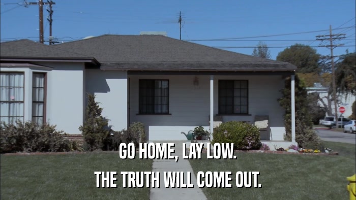 GO HOME, LAY LOW. THE TRUTH WILL COME OUT. 