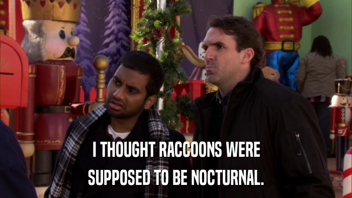 I THOUGHT RACCOONS WERE SUPPOSED TO BE NOCTURNAL. 