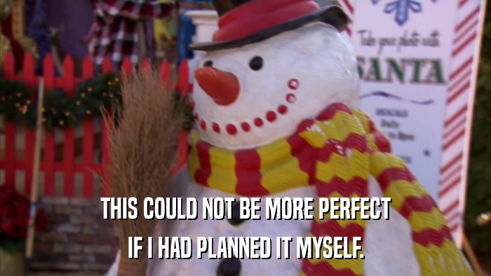 THIS COULD NOT BE MORE PERFECT IF I HAD PLANNED IT MYSELF. 