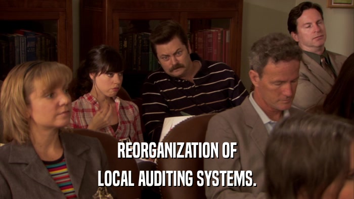 REORGANIZATION OF LOCAL AUDITING SYSTEMS. 