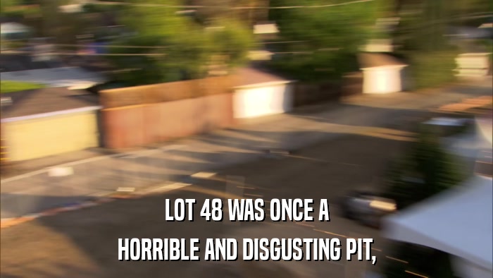 LOT 48 WAS ONCE A HORRIBLE AND DISGUSTING PIT, 
