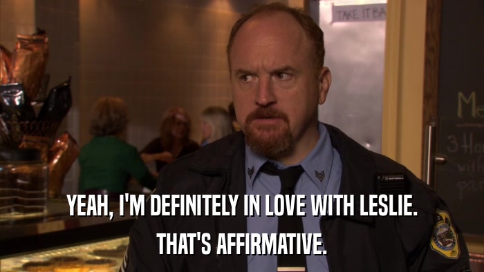 YEAH, I'M DEFINITELY IN LOVE WITH LESLIE. THAT'S AFFIRMATIVE. 