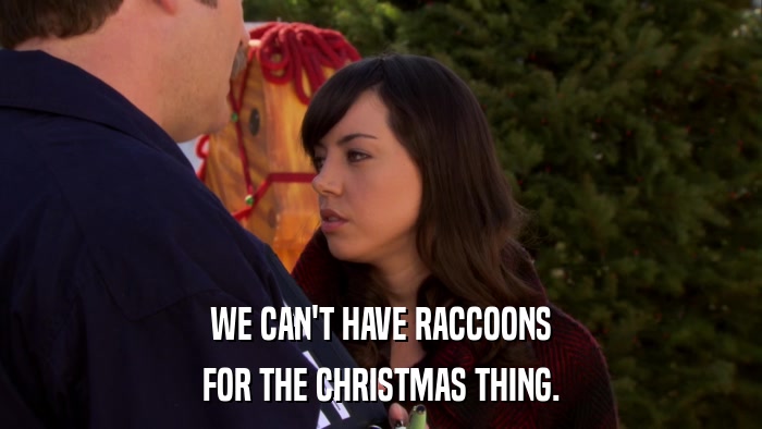 WE CAN'T HAVE RACCOONS FOR THE CHRISTMAS THING. 