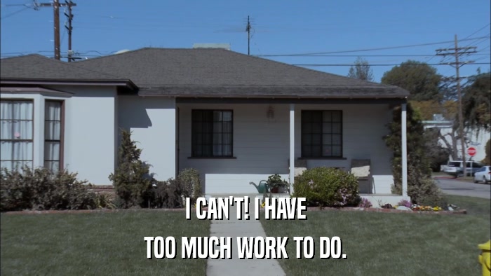 I CAN'T! I HAVE TOO MUCH WORK TO DO. 
