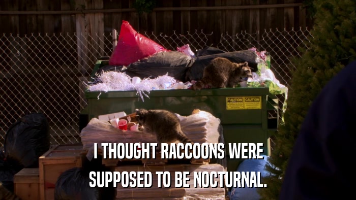 I THOUGHT RACCOONS WERE SUPPOSED TO BE NOCTURNAL. 