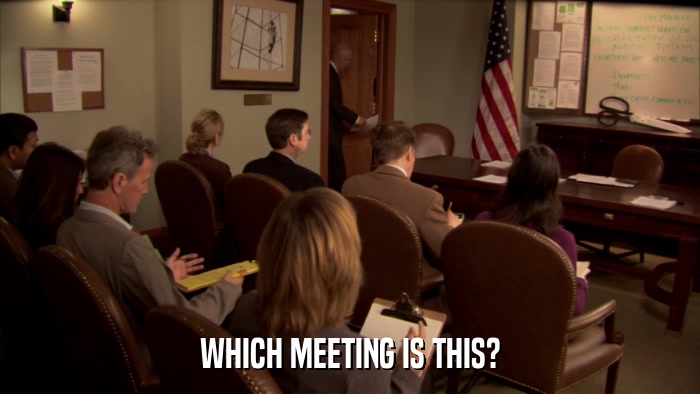 WHICH MEETING IS THIS?  