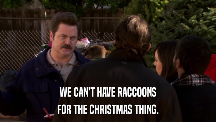 WE CAN'T HAVE RACCOONS FOR THE CHRISTMAS THING. 