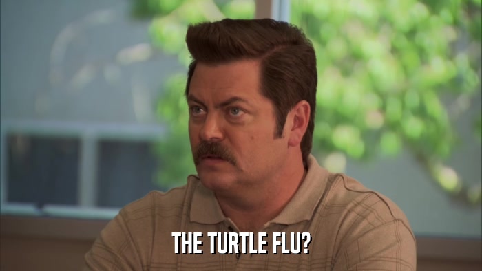 THE TURTLE FLU?  