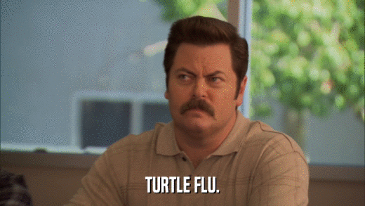 TURTLE FLU.  