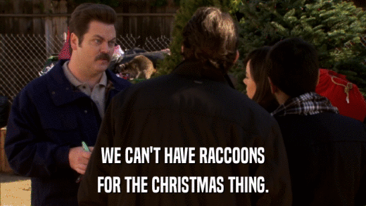 WE CAN'T HAVE RACCOONS FOR THE CHRISTMAS THING. 