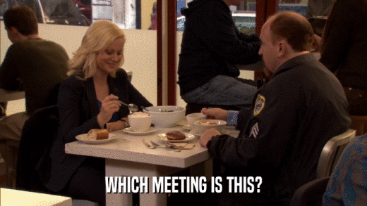 WHICH MEETING IS THIS?  