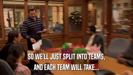 SO WE'LL JUST SPLIT INTO TEAMS, AND EACH TEAM WILL TAKE... 