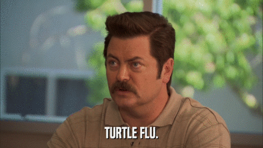TURTLE FLU.  