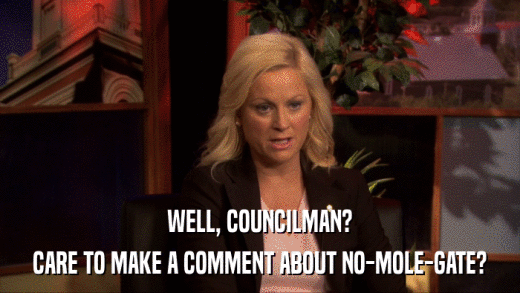 WELL, COUNCILMAN? CARE TO MAKE A COMMENT ABOUT NO-MOLE-GATE? 