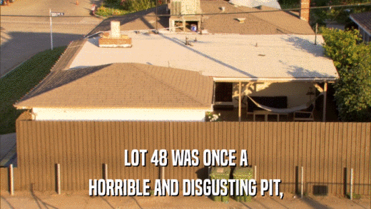 LOT 48 WAS ONCE A HORRIBLE AND DISGUSTING PIT, 