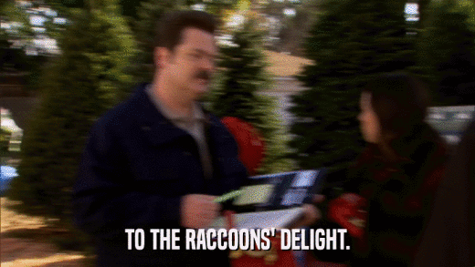 TO THE RACCOONS' DELIGHT.  