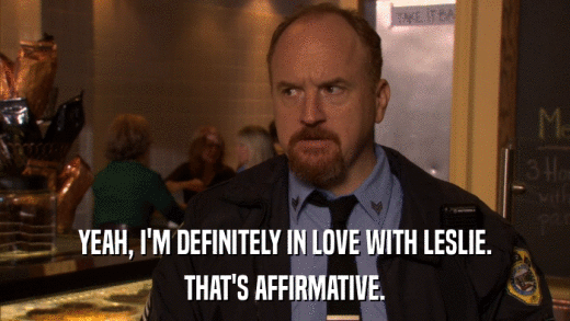 YEAH, I'M DEFINITELY IN LOVE WITH LESLIE. THAT'S AFFIRMATIVE. 