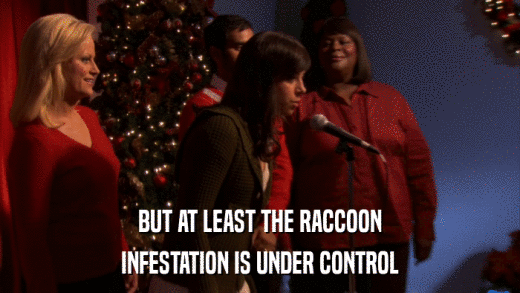BUT AT LEAST THE RACCOON INFESTATION IS UNDER CONTROL 
