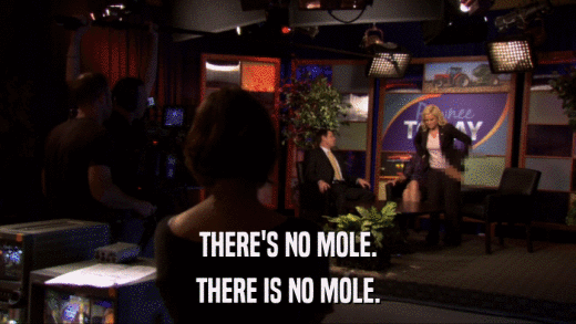 THERE'S NO MOLE. THERE IS NO MOLE. 