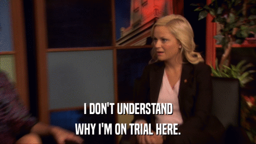 I DON'T UNDERSTAND WHY I'M ON TRIAL HERE. 