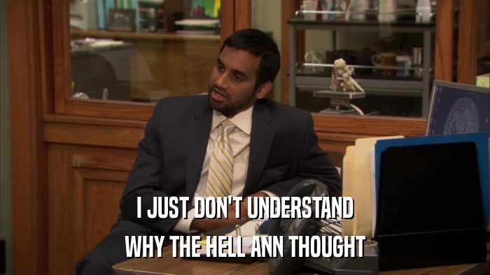 I JUST DON'T UNDERSTAND WHY THE HELL ANN THOUGHT 