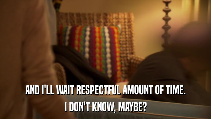 AND I'LL WAIT RESPECTFUL AMOUNT OF TIME. I DON'T KNOW, MAYBE? 