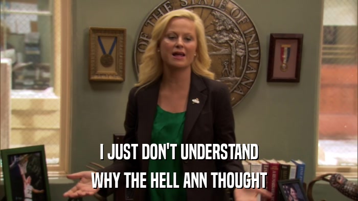 I JUST DON'T UNDERSTAND WHY THE HELL ANN THOUGHT 