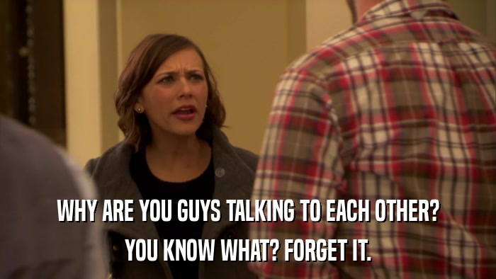 WHY ARE YOU GUYS TALKING TO EACH OTHER? YOU KNOW WHAT? FORGET IT. 