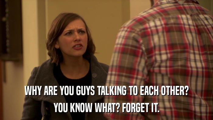 WHY ARE YOU GUYS TALKING TO EACH OTHER? YOU KNOW WHAT? FORGET IT. 