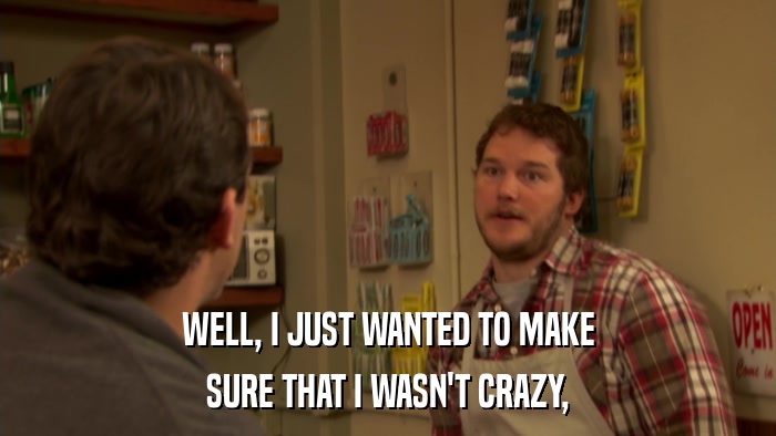WELL, I JUST WANTED TO MAKE SURE THAT I WASN'T CRAZY, 