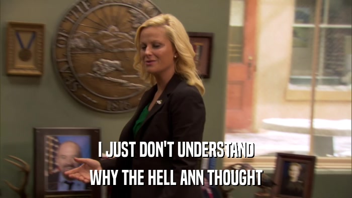 I JUST DON'T UNDERSTAND WHY THE HELL ANN THOUGHT 