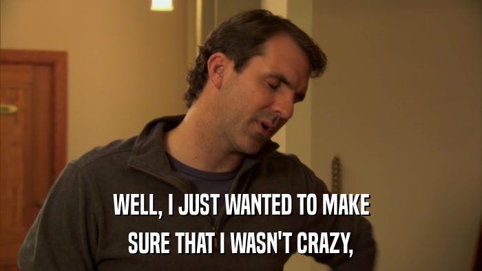 WELL, I JUST WANTED TO MAKE SURE THAT I WASN'T CRAZY, 