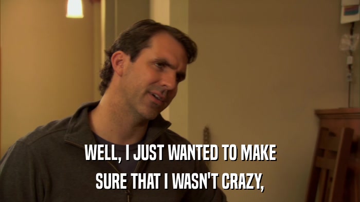 WELL, I JUST WANTED TO MAKE SURE THAT I WASN'T CRAZY, 