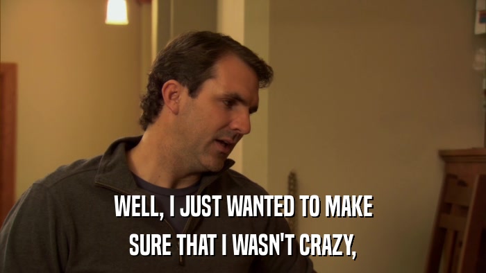 WELL, I JUST WANTED TO MAKE SURE THAT I WASN'T CRAZY, 