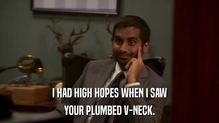 I HAD HIGH HOPES WHEN I SAW YOUR PLUMBED V-NECK. 