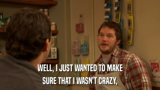 WELL, I JUST WANTED TO MAKE SURE THAT I WASN'T CRAZY, 