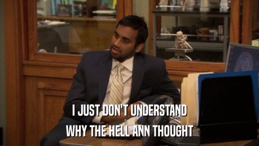 I JUST DON'T UNDERSTAND WHY THE HELL ANN THOUGHT 