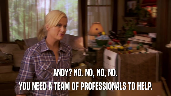 ANDY? NO. NO, NO, NO. YOU NEED A TEAM OF PROFESSIONALS TO HELP. 