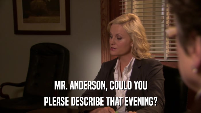 MR. ANDERSON, COULD YOU PLEASE DESCRIBE THAT EVENING? 