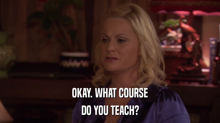 OKAY. WHAT COURSE DO YOU TEACH? 
