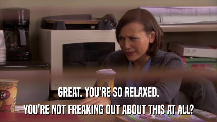 GREAT. YOU'RE SO RELAXED. YOU'RE NOT FREAKING OUT ABOUT THIS AT ALL? 