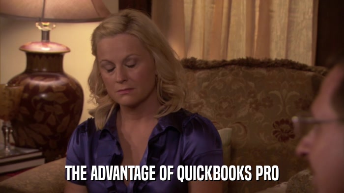 THE ADVANTAGE OF QUICKBOOKS PRO  