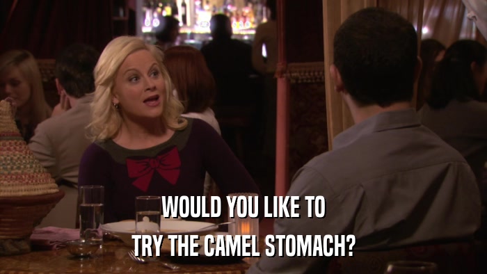 WOULD YOU LIKE TO TRY THE CAMEL STOMACH? 
