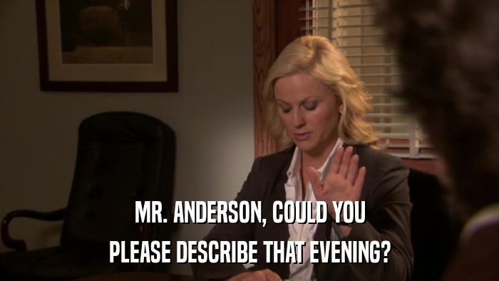 MR. ANDERSON, COULD YOU PLEASE DESCRIBE THAT EVENING? 