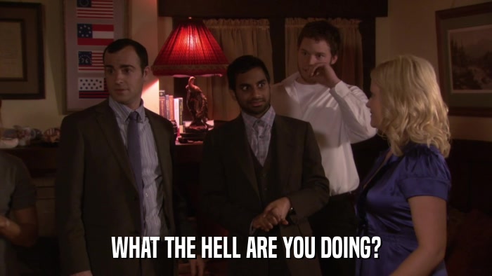 WHAT THE HELL ARE YOU DOING?  
