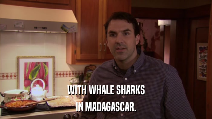 WITH WHALE SHARKS IN MADAGASCAR. 