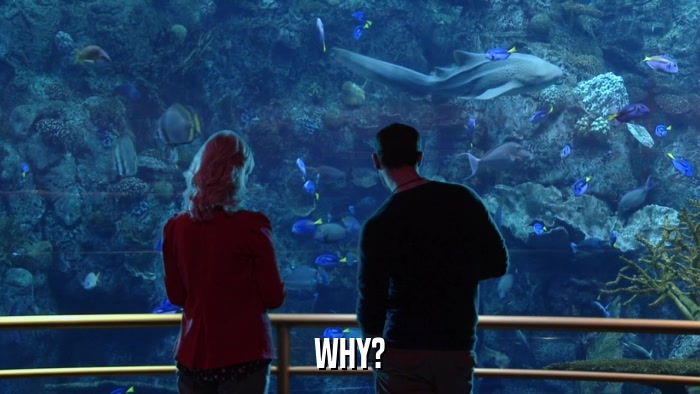 WHY?  