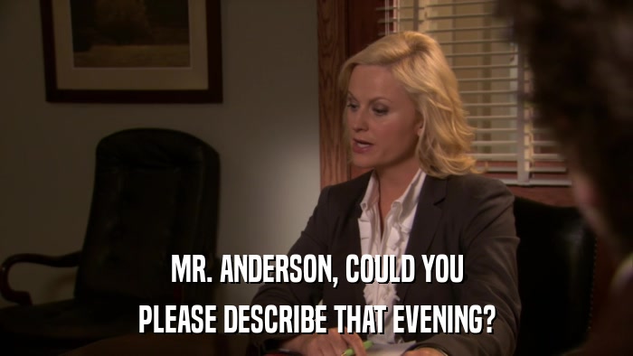 MR. ANDERSON, COULD YOU PLEASE DESCRIBE THAT EVENING? 