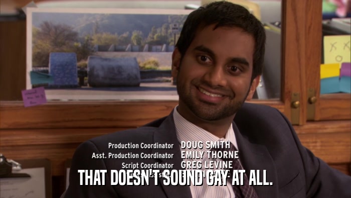 THAT DOESN'T SOUND GAY AT ALL.  