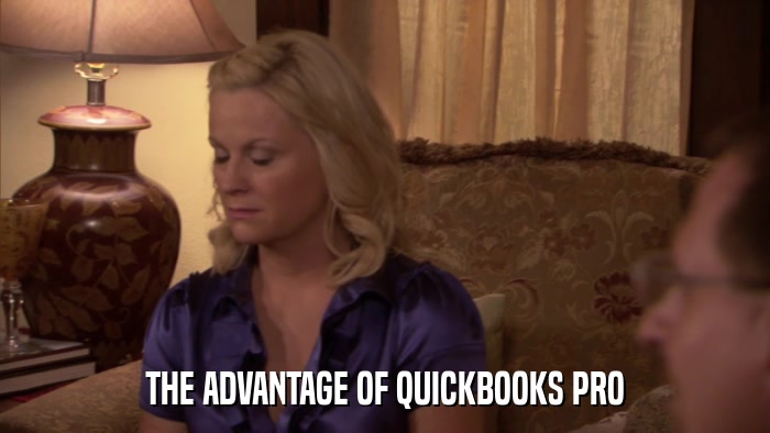 THE ADVANTAGE OF QUICKBOOKS PRO  